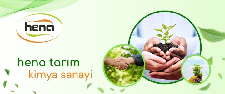 Web sitemiz yayında!